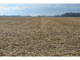 Property photo 29 - LAND AUCTION - 276.5+/- ACRES OFFERED IN 5 TRACTS IN EAST ALLEN COUNTY